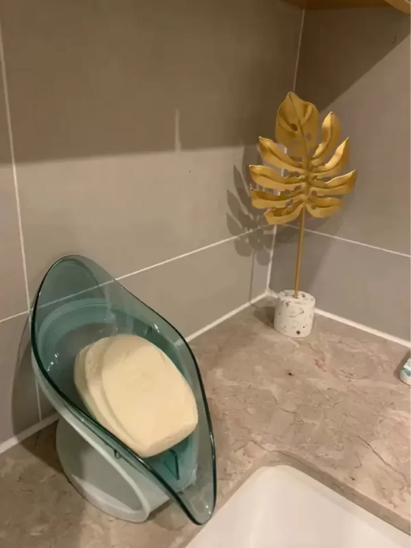 Soap tray Holder