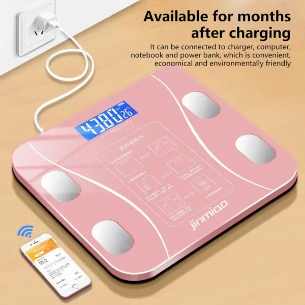 Large bathroom scale