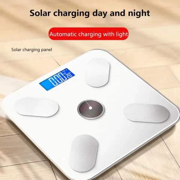 Large bathroom scale